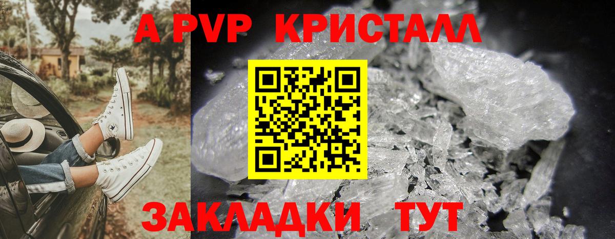Alfa_PVP СК КРИС Минеральные Воды
