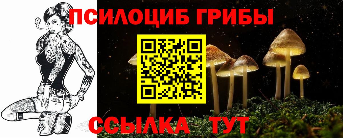 Минеральные Воды  Псилоцибиновые грибы GOLDEN TEACHER  Вход с VPN  купить наркотики цена  Галлюциногенные грибы прущие грибы 